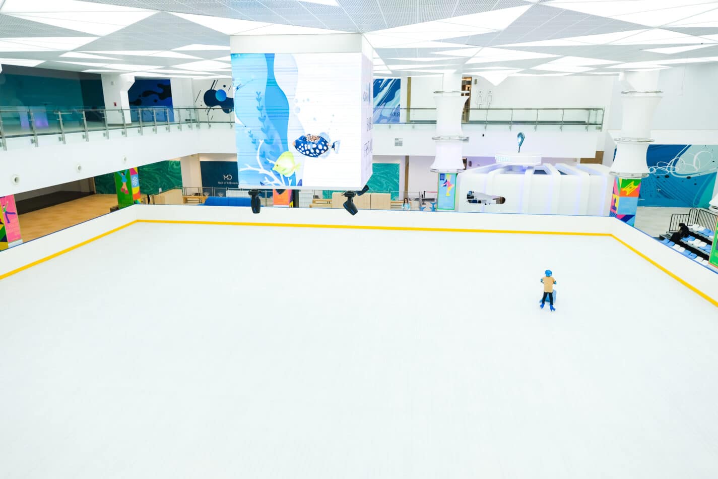 Buy an ice rink